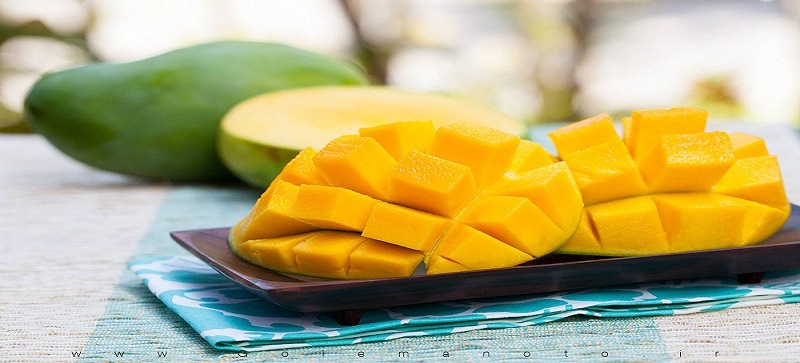 تغذیه مناسب